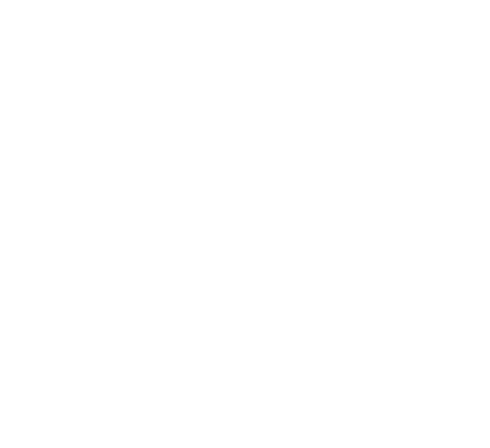 3CV